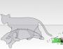 Кот шредингера - знаменитый парадоксальный эксперимент Дихотомии кота шредингера